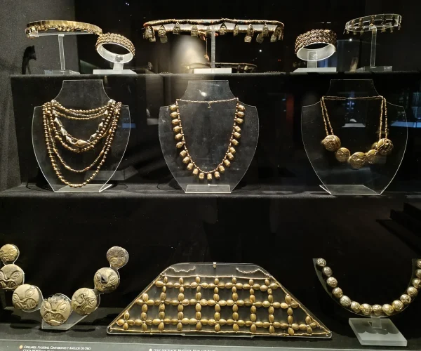 IMG_20230820_114650 (1)