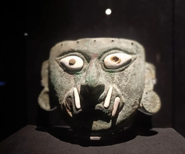 IMG_20230820_114719 (1)